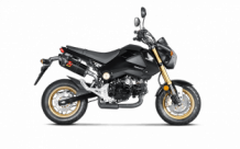 Akrapovic Slip-On Line Carbon Einddemper met E-keur Honda MSX 125 / Grom 2013 - 2015